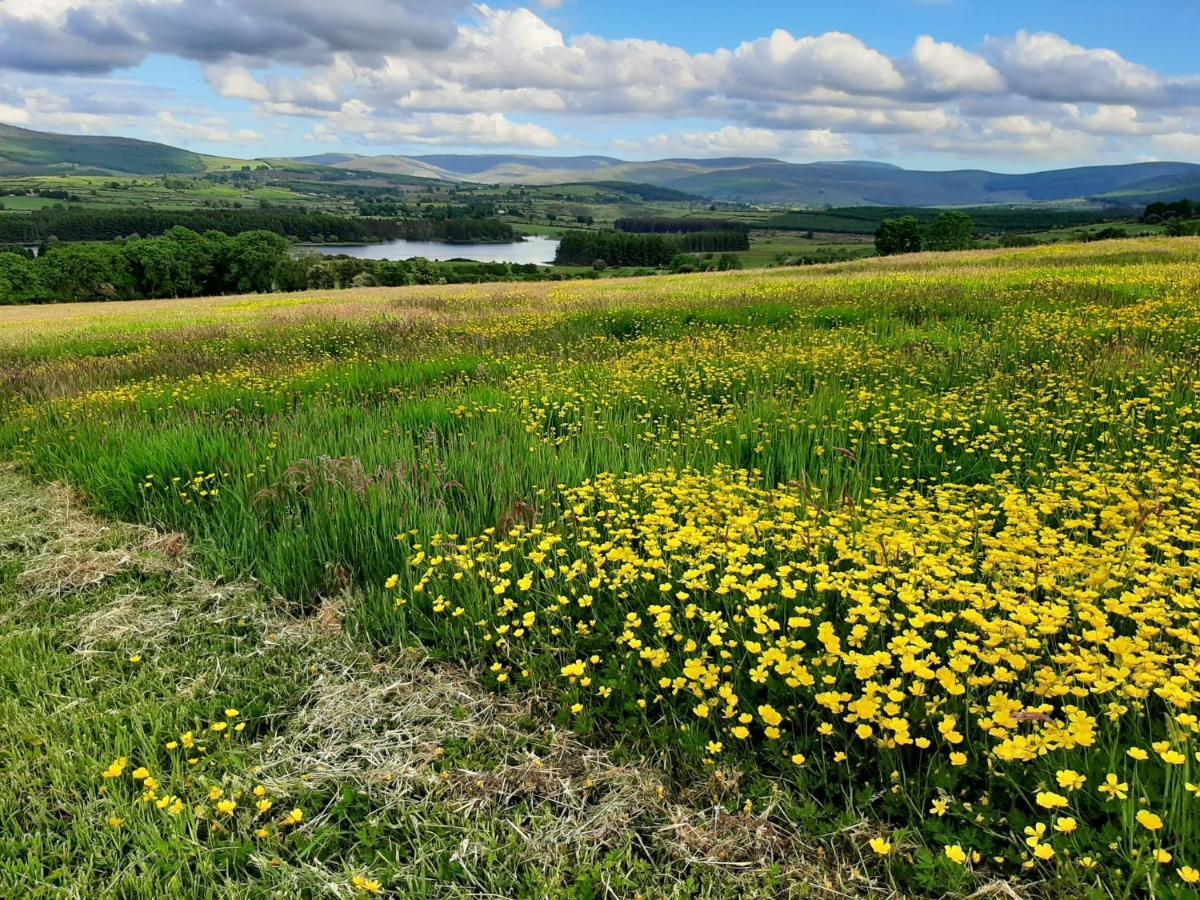 Abhainn Ri Cottages Blessington Kültér fotó